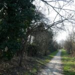 66