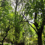 IMG_20220916_123852