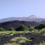 IMG_20230621_172940