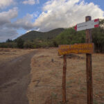 IMG_20230811_191514