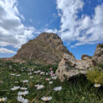Rocca Salvatesta 4