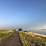 Rural summer idyll on the Elbe cycle path in Kollmar, Schleswig-Holstein