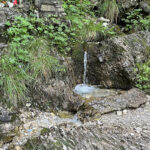 image00001