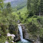 image00002-min