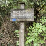 image00003