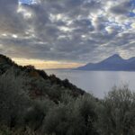 image00003-min