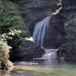 image00003-min