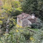 image00003-min