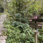 image00003-min