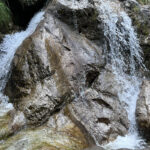image00004