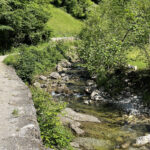 image00006