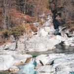 orridi di Uriezzo-2