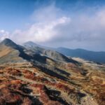 thewalckingbear-appennino tosco emiliano