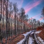 thewalckingbear-appennino tosco emiliano3