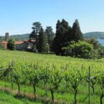 via-francigena-tappa-pi7-da-ivrea-a-viverone_be13